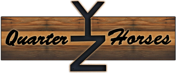 YZ Quarter Horses | Wyoming AQHA Stallions |  Joe Hancock, Blue Valentine, Driftwood